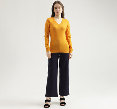 Women's Regular Fit V-Neck Solid Sweater