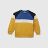 Regular Fit Crew Neck Colorblocked Boy's Sweatshirt