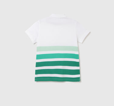 Regular Fit Polo Neck Striped T-shirt