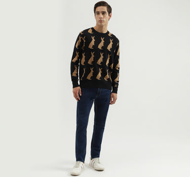 Men's Regular Fit Crew Neck Knitted Sweater