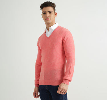 Mens V-Neck Solid Sweater