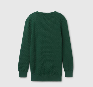 Boy's Regular Fit Round Neck Textured Sweater