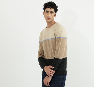 Men Stripe Round Neck Sweater