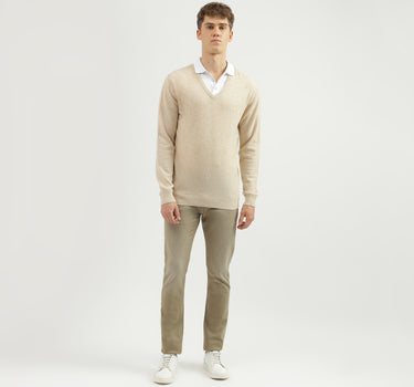 Men's Regular Fit V-Neck Solid Sweater