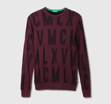 Men Printed Sweater