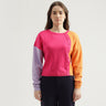 Women's Regular Fit Crew Neck Colorblock Sweater