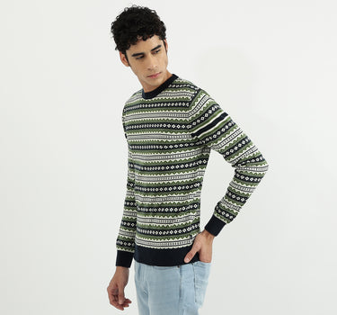 Men Patterned Round Neck Sweater