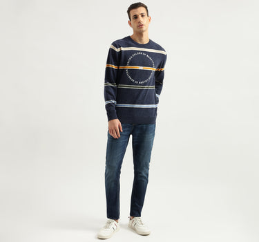 Men's Regular Fit Round Neck Striped Sweaters