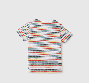 Regular Fit Round Neck Striped T-Shirt