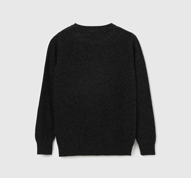 Boy's Regular Fit Crew Neck Solid Sweater