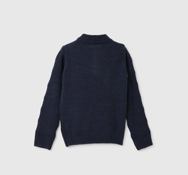 Boys Self Design High Neck Sweater