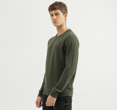 Men's Regular Fit Crew Neck Solid Sweater