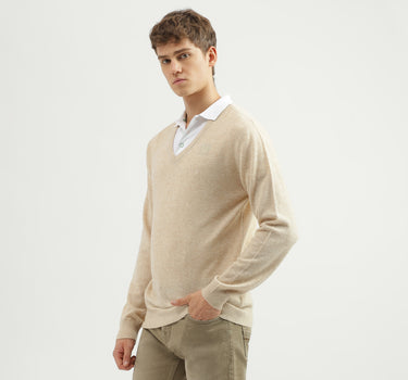 Men's Regular Fit V-Neck Solid Sweater