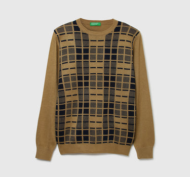 Men Checked Round Neck Sweater