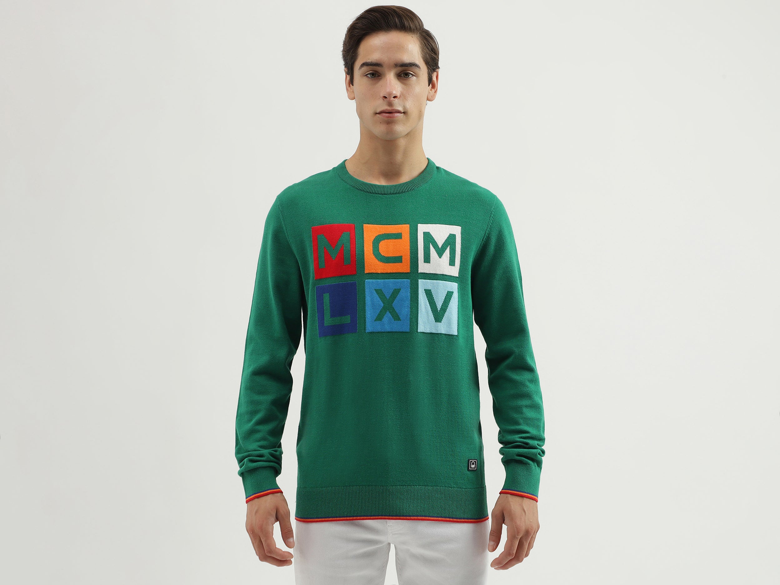 Men's Regular Fit Crew Neck Knitted Sweater