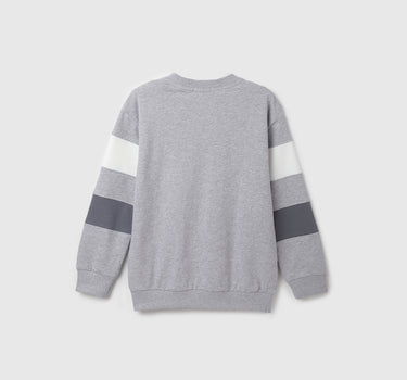 Regular Fit Round Neck Striped Sweatshirt