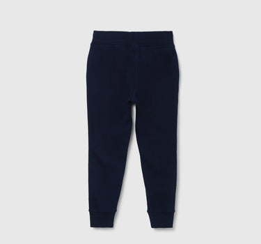 Boys Colorblock Regular Fit Joggers