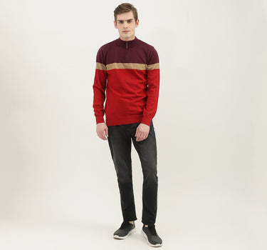 Men Colorblock High Neck Sweater