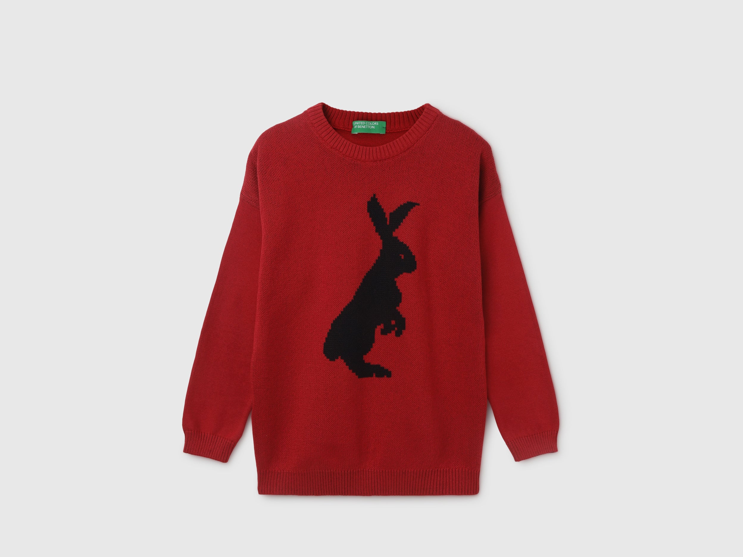 Boy's Regular Fit Round Neck Printed Sweater