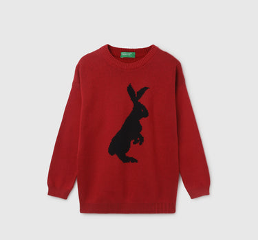 Boy's Regular Fit Round Neck Printed Sweater