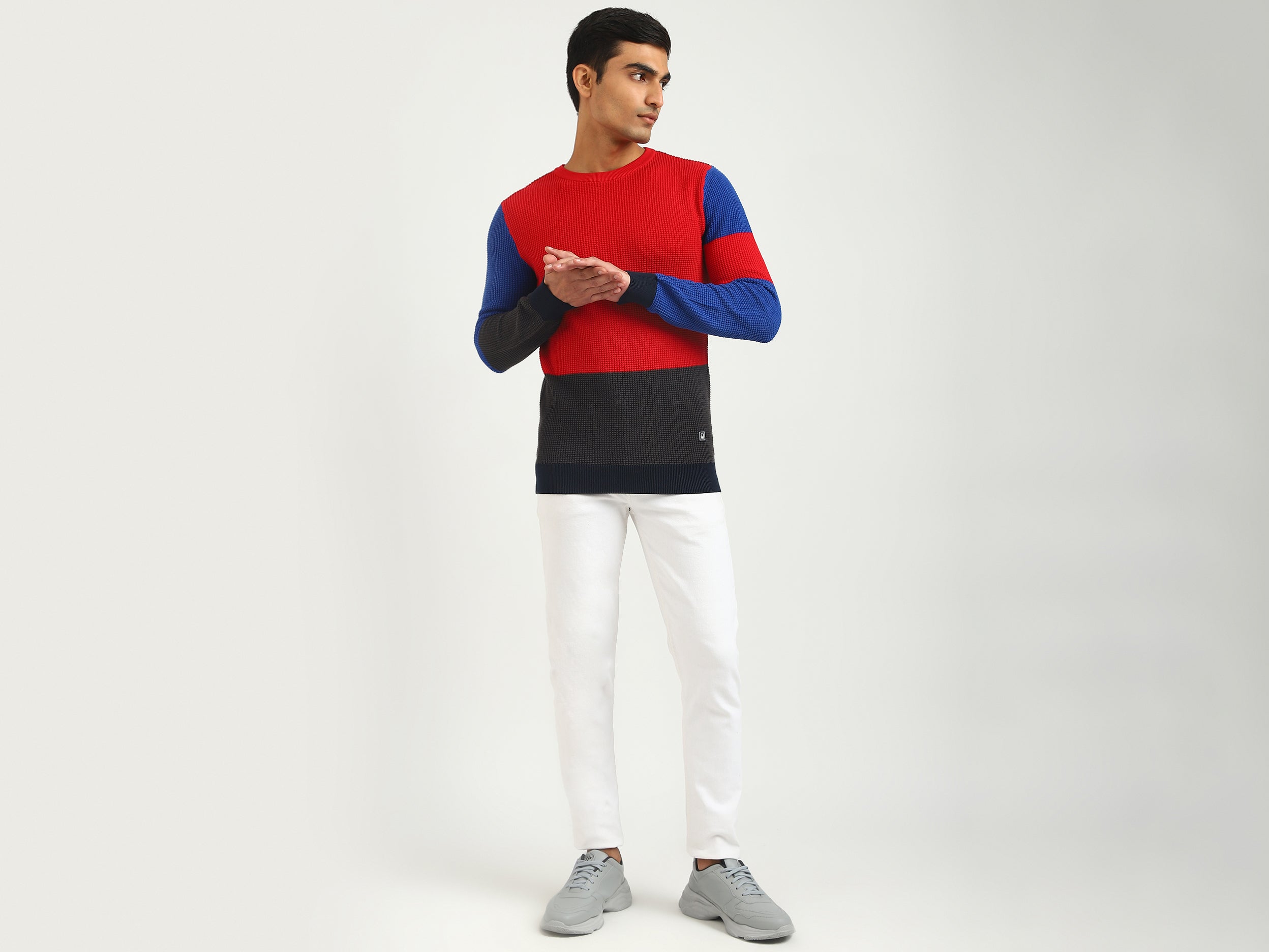 Men Colorblock Round Neck Sweater