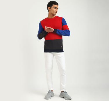 Men Colorblock Round Neck Sweater