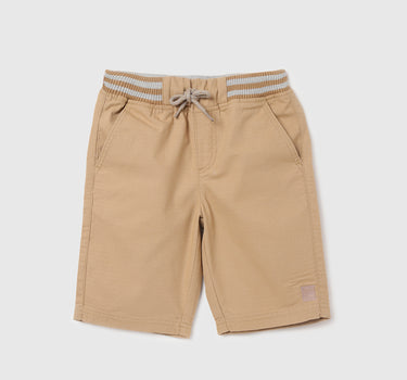 Solid Regular Fit Shorts