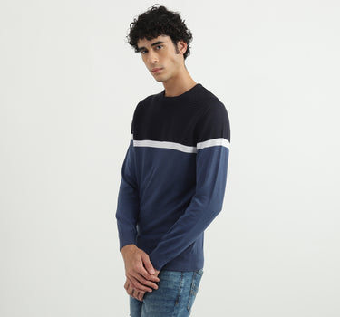 Men Colorblocked Round Neck Sweater