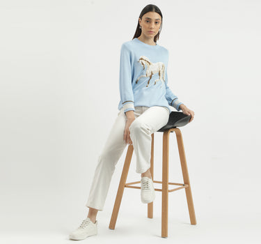 Regular Fit Round Neck Solid Sweater