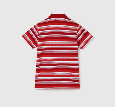 Boy's Regular Fit Polo Collar Striped Tshirts