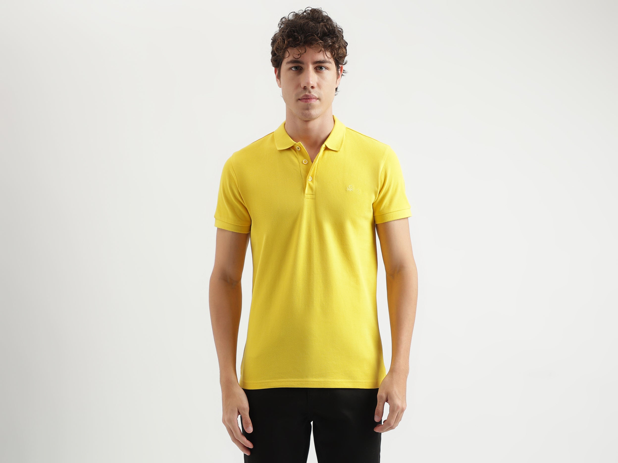 Regular Fit Polo Neck Solid Pattern T-shirt