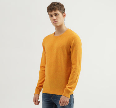 Men's Regular Fit Crew Neck Solid Sweater