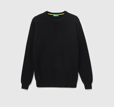 Men's Regular Fit Crew Neck Solid Sweater