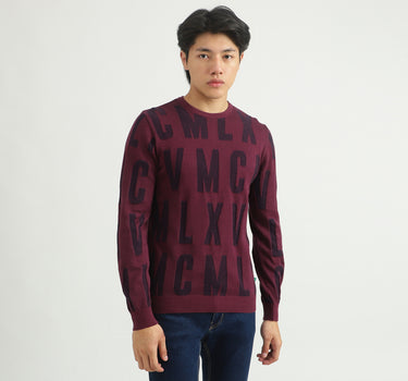 Men Printed Sweater