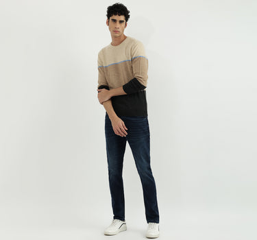 Men Stripe Round Neck Sweater