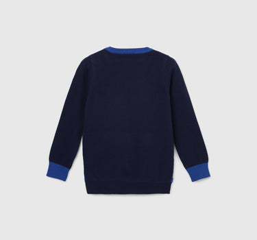 Boy's Regular Fit Crew Neck Colorblock Sweater