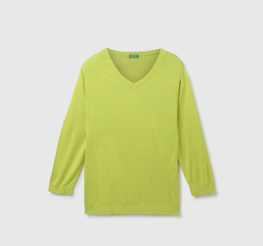 Women's Regular Fit V-Neck Solid Sweater