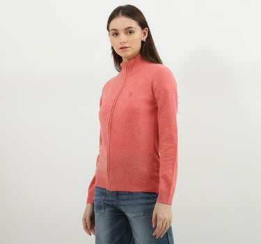 Women Solid High Neck Sweater