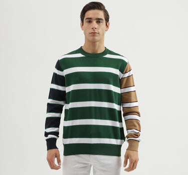 Men's Regular Fit Crew Neck Striped Sweater