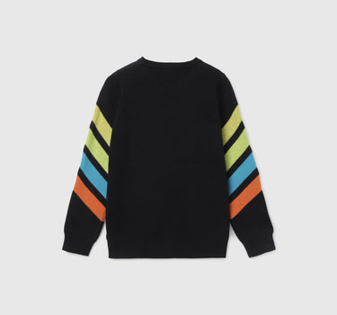 Boy's Regular Fit Crew Neck Striped Sweater