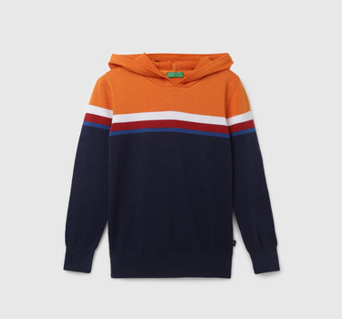 Boy's Regular Fit Hooded Neck Colorblock Sweater