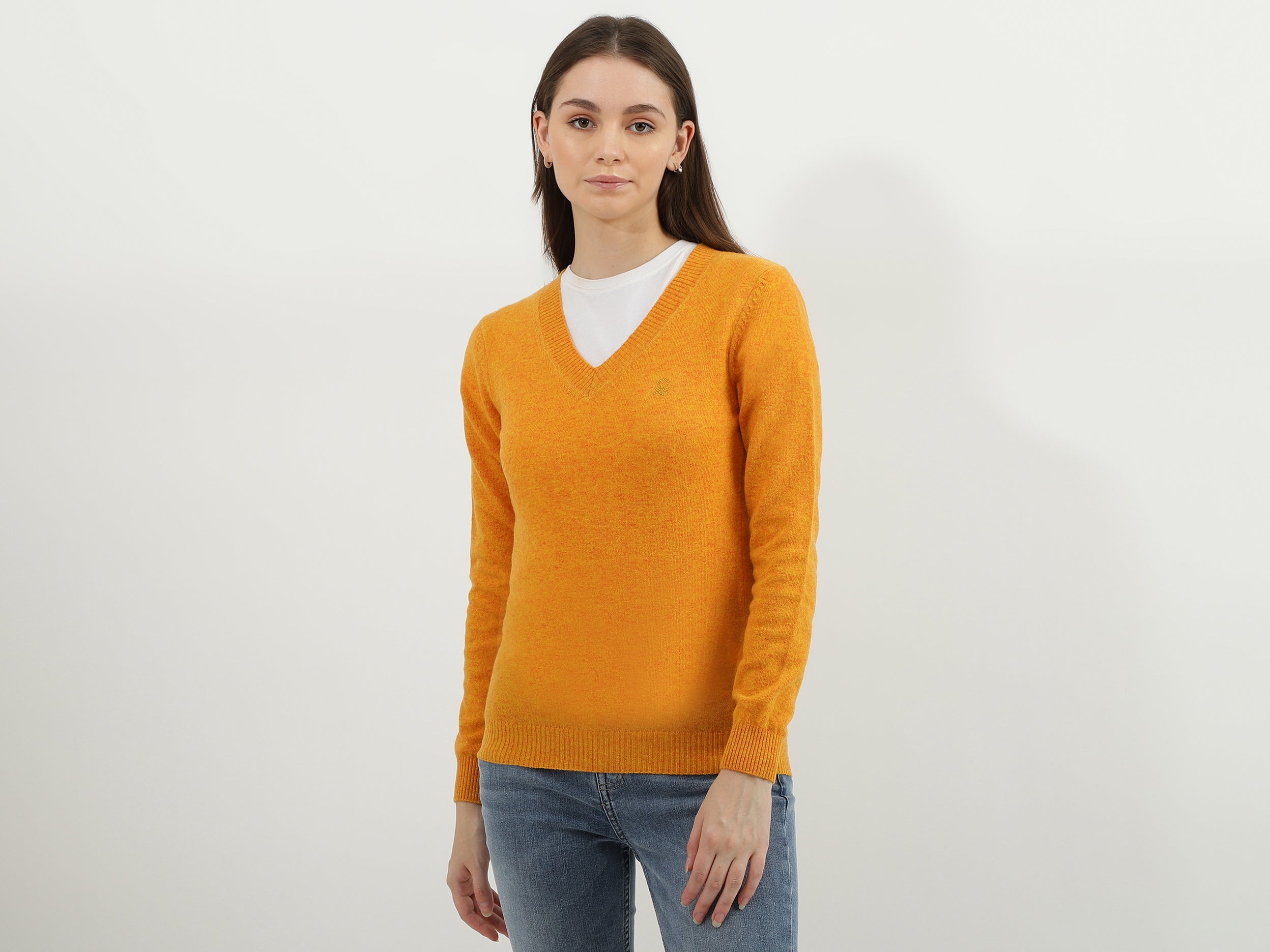 Women Solid V-Neck Sweater