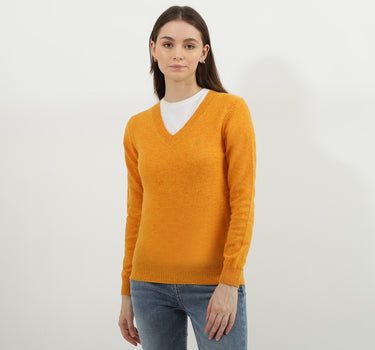 Women Solid V-Neck Sweater