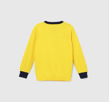 Boy's Regular Fit Crew Neck Colorblock Sweater