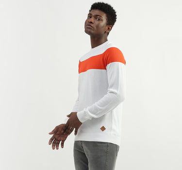 Cotton Printed Round Neck Mens Sweaters