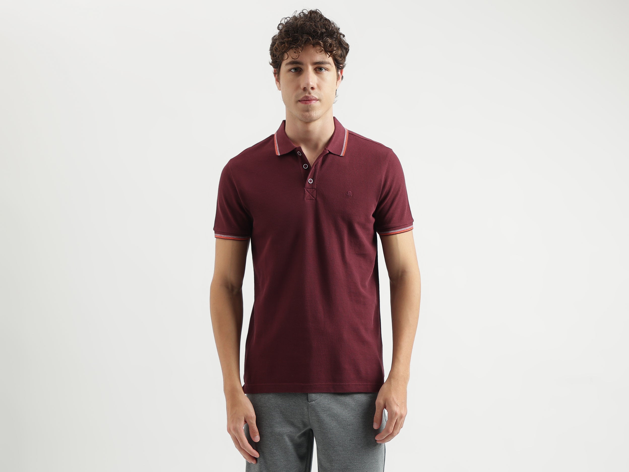 Regular Fit Polo Neck Solid Pattern T-shirt