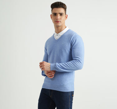 Mens V-Neck Solid Sweater