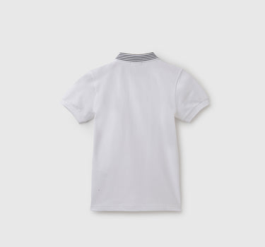 Regular Fit Polo Neck Solid T-Shirt