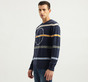 Men's Regular Fit Round Neck Striped Sweaters