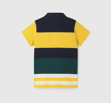 Boy's Regular Fit Polo Collar Color Block Tshirts